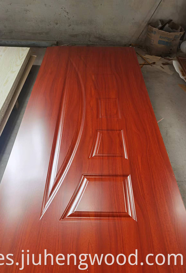 Door Skin